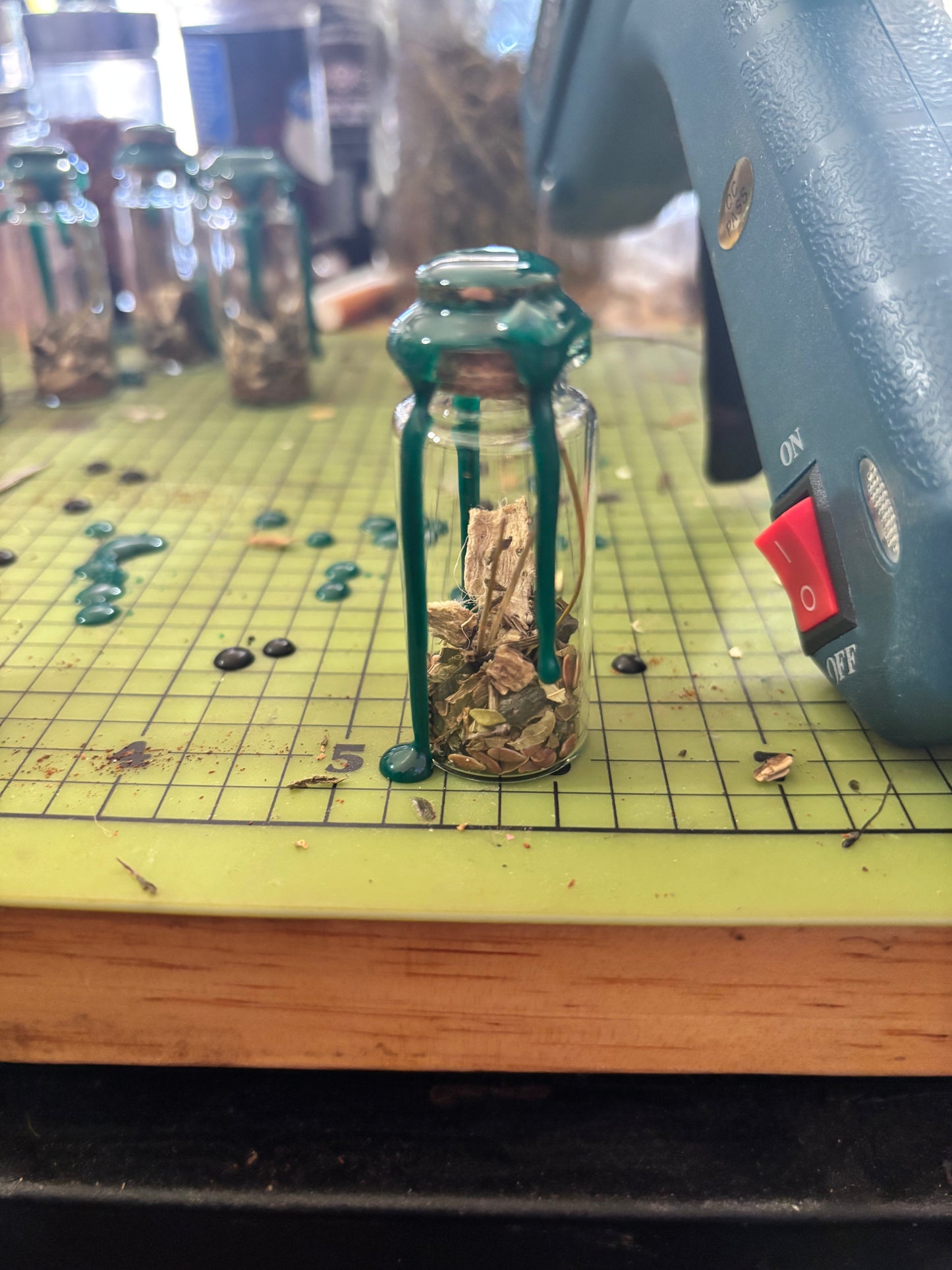 Sanctum of the Hidden Grove