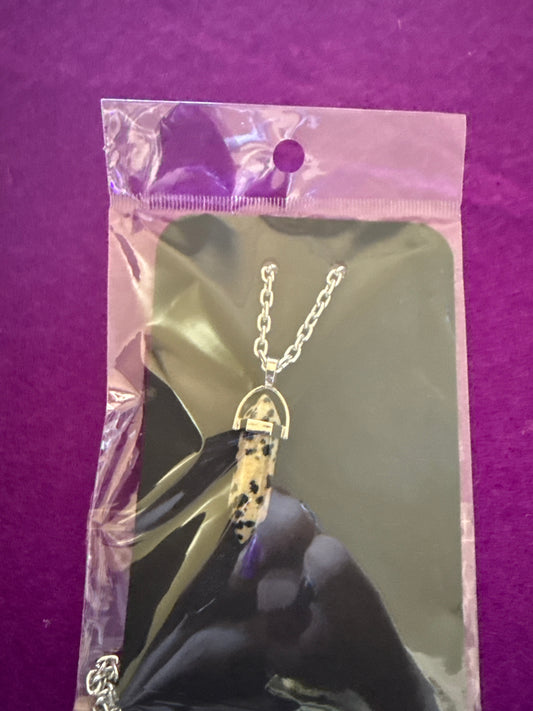 🐾 Earthbound Joy ✧ Dalmatian Jasper Necklace